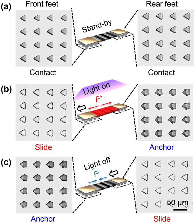 1580968516607608.jpg 图片2.jpg