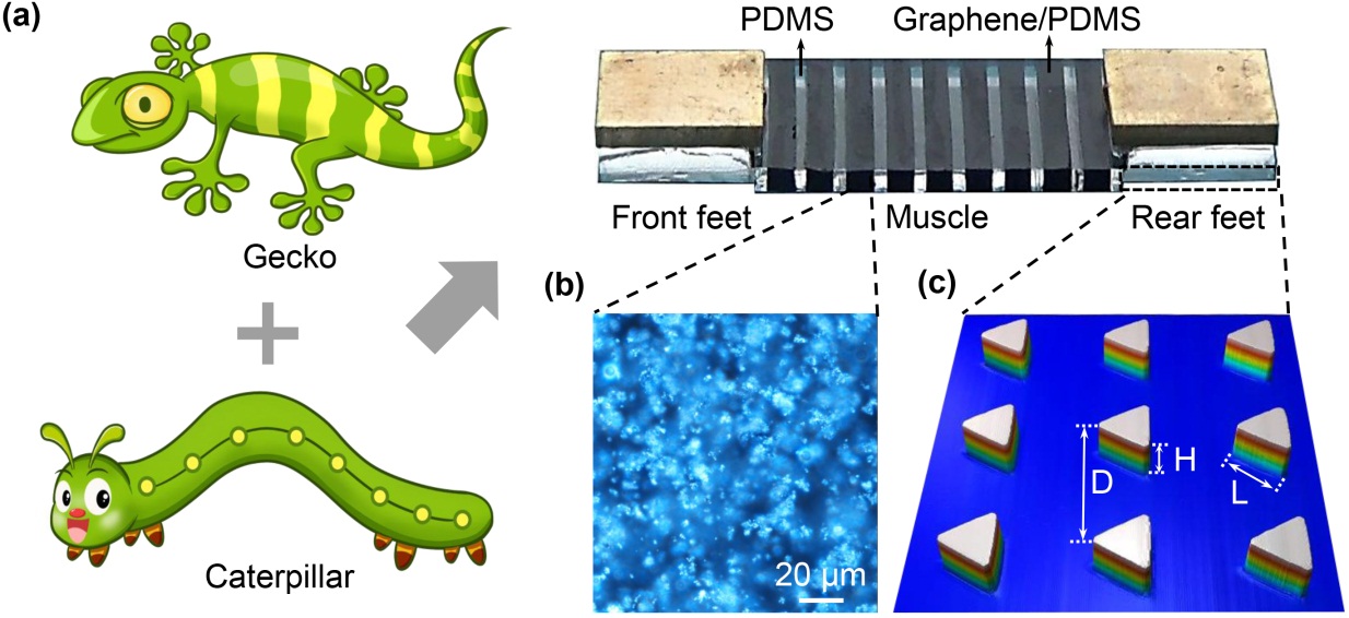 1580968311879182.jpg 1580968311879182.jpg