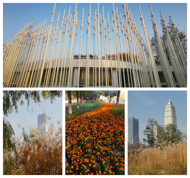 1576484019128152.jpg 拼图2.jpg