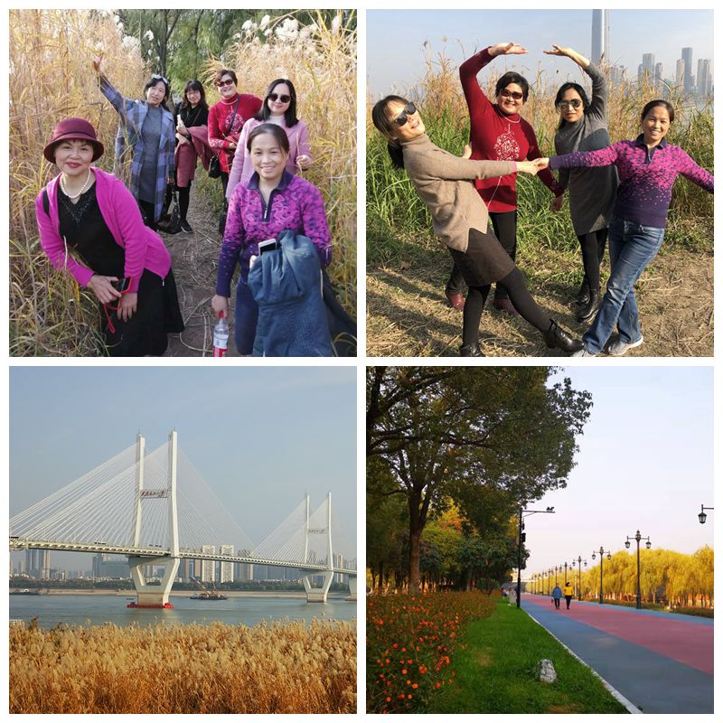 1576484274114068.jpg 拼图1.jpg