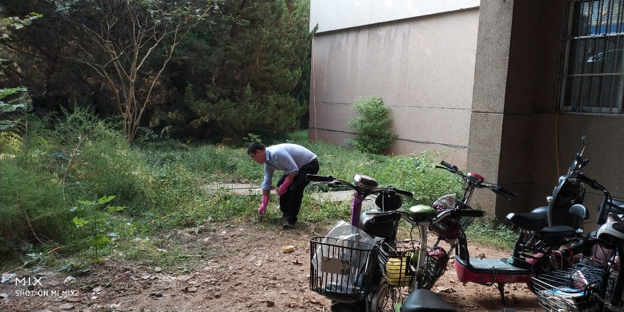 1571547051431651.jpg clip_image008.jpg