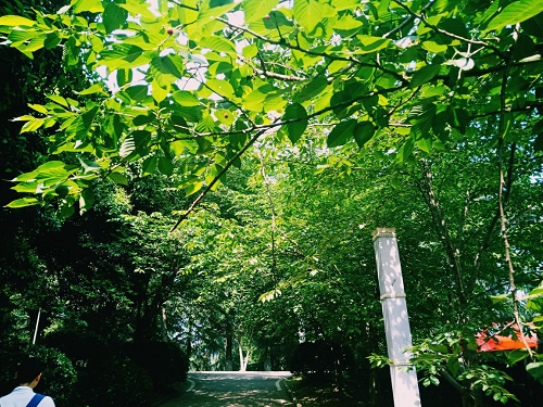 1558008541437116.png 图片6.png