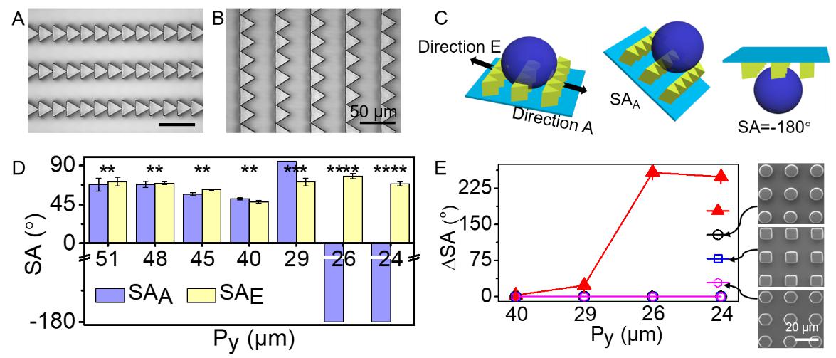 1596214712787884.jpg 1596214712787884.jpg